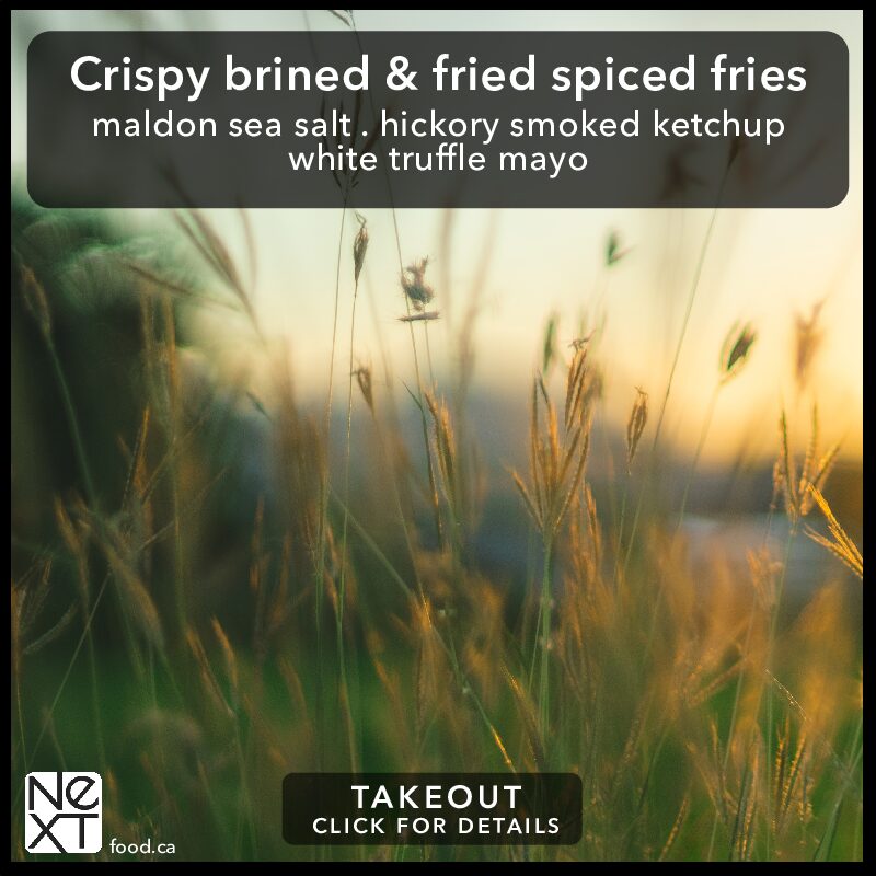Crispy brined & fried spiced fries
