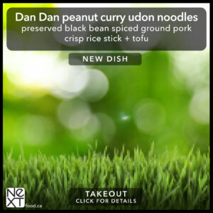 Dan Dan peanut curry udon noodles
